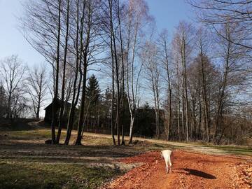 Фото номера Таунхаус с 3 спальнями Дома для отпуска Grażynówka-DROP-gm DOBRE г. Papiernia 12