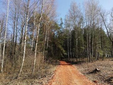 Фото номера Таунхаус с 3 спальнями Дома для отпуска Grażynówka-DROP-gm DOBRE г. Papiernia 63